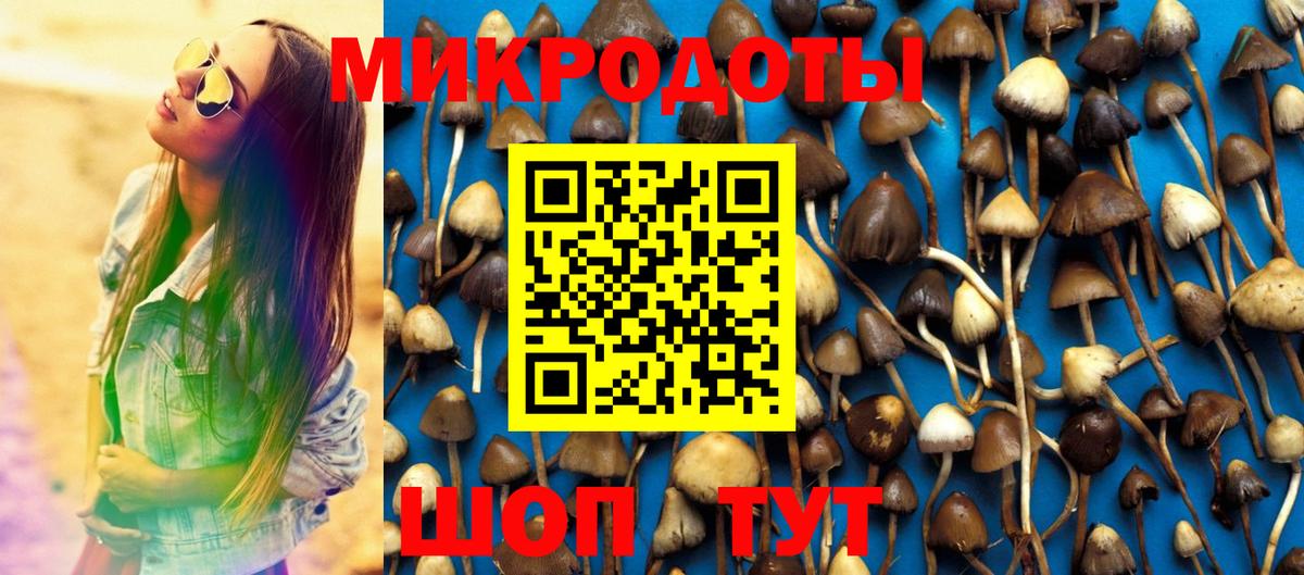 Псилоцибиновые грибы мицелий  Вход с VPN  Иваново 